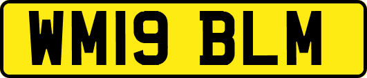 WM19BLM