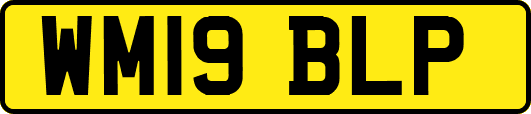 WM19BLP