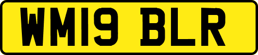WM19BLR