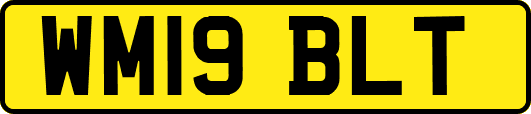 WM19BLT