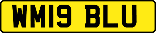WM19BLU
