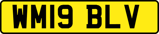 WM19BLV