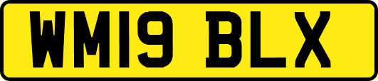 WM19BLX
