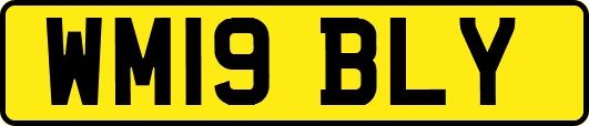 WM19BLY