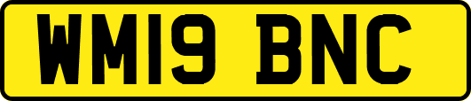 WM19BNC