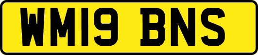 WM19BNS