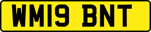WM19BNT