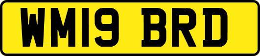 WM19BRD
