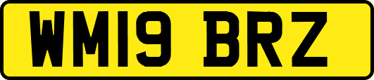 WM19BRZ