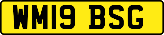 WM19BSG