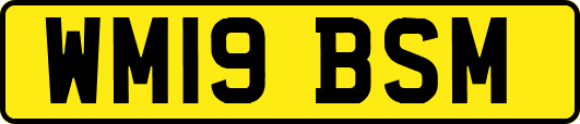 WM19BSM