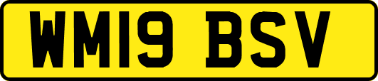 WM19BSV