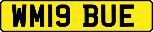 WM19BUE