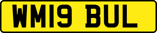 WM19BUL