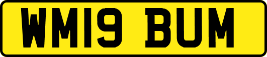 WM19BUM