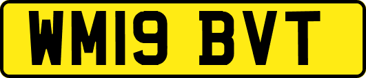 WM19BVT
