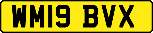WM19BVX