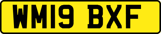 WM19BXF