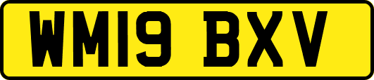 WM19BXV