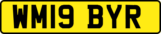WM19BYR
