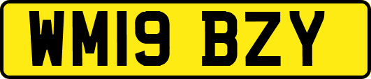 WM19BZY