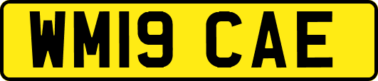 WM19CAE