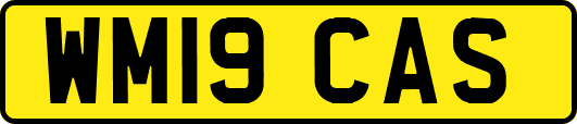 WM19CAS