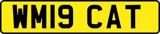 WM19CAT