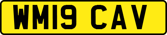WM19CAV