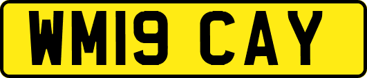 WM19CAY