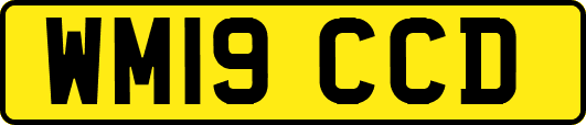 WM19CCD