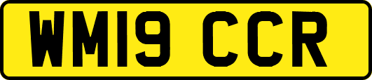 WM19CCR