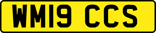 WM19CCS