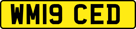 WM19CED