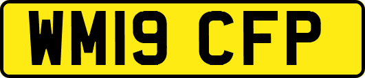WM19CFP