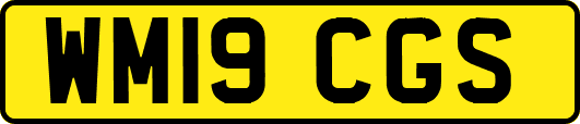 WM19CGS