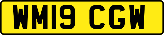 WM19CGW