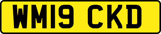 WM19CKD