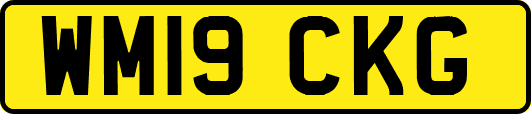 WM19CKG
