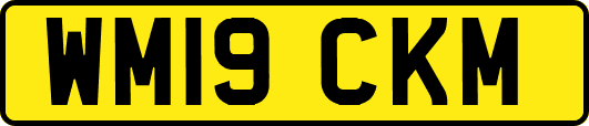 WM19CKM