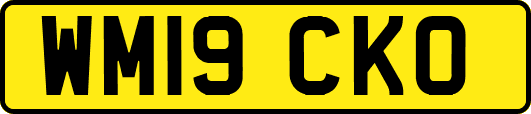 WM19CKO