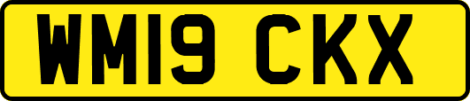 WM19CKX