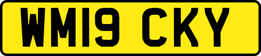 WM19CKY