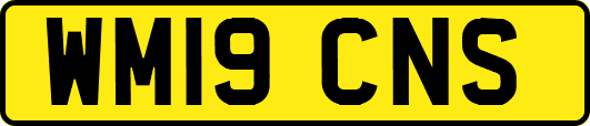 WM19CNS