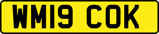 WM19COK