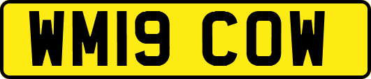 WM19COW