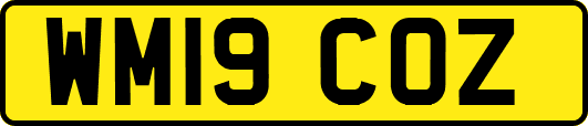 WM19COZ