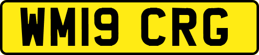 WM19CRG