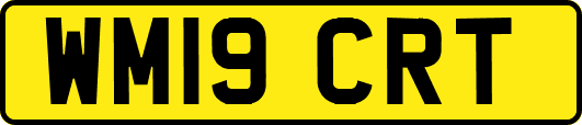 WM19CRT