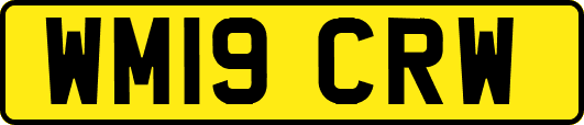 WM19CRW